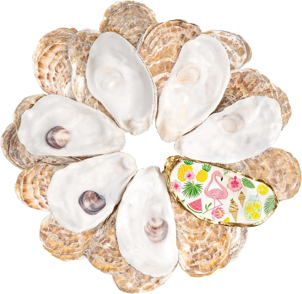 Ultimate Ears 30Pcs Large Flat Oyster Shells for Crafts, 4-5 Inch Cleaned Natural Oyster Shells for Decoupage Painting Vase Filler Wedding DIY Decor Coastal Christmas Large Seashells Art