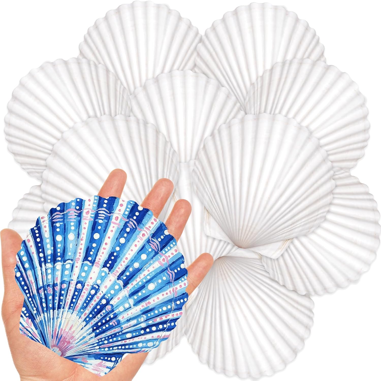 Ultimate Ears 20Pcs 4-5 Inch Large Scallop Shells for Crafts, Natural White Scallop Shells for Baking, Painting, DIY Crafts, Decoupage, Beach Wedding Decor, Large Seashells Bulk for Home