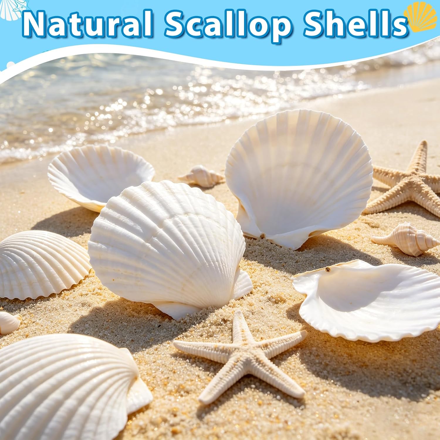 Ultimate Ears 20Pcs 4-5 Inch Large Scallop Shells for Crafts, Natural White Scallop Shells for Baking, Painting, DIY Crafts, Decoupage, Beach Wedding Decor, Large Seashells Bulk for Home