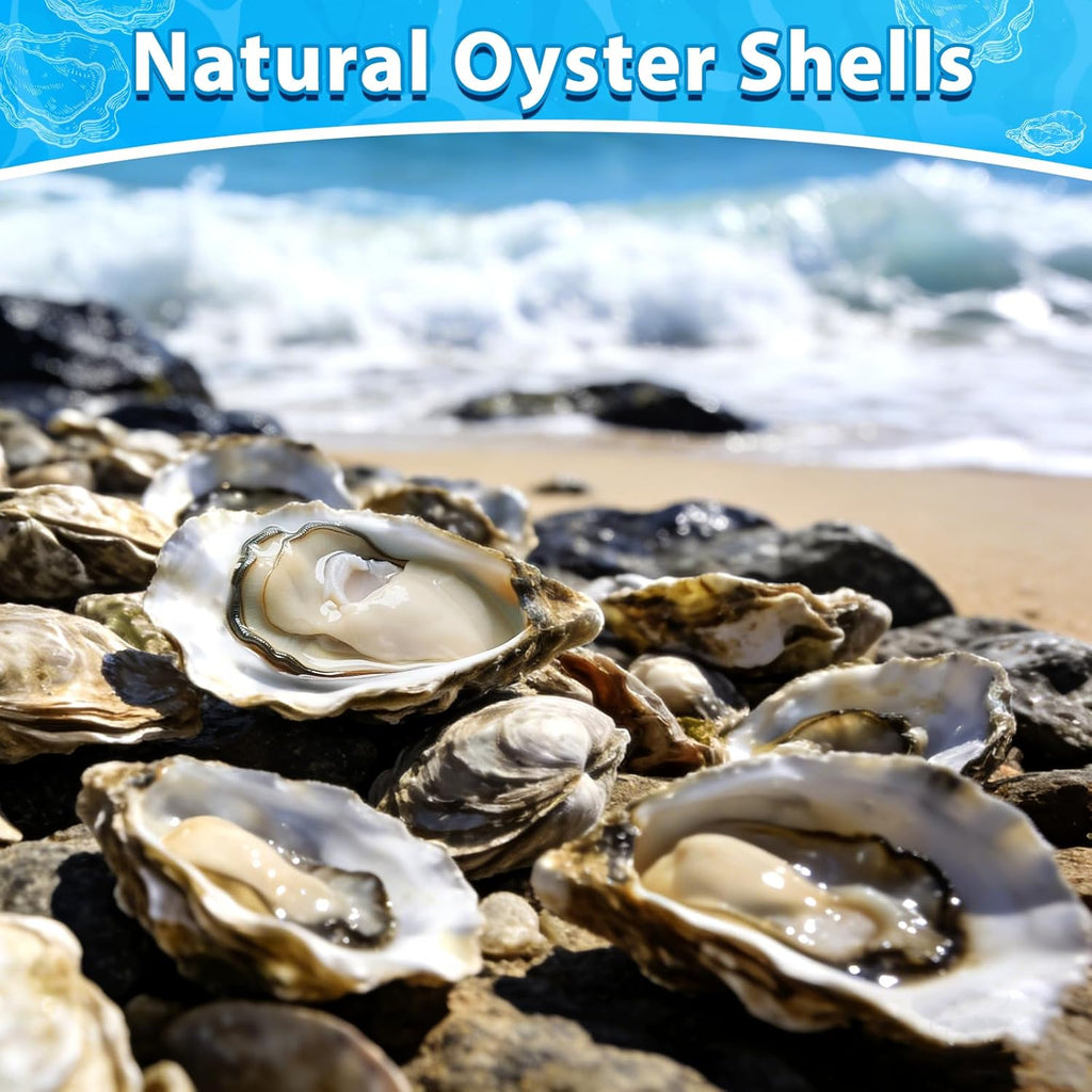 Ultimate Ears 30Pcs 4-5 Inch Concave Large Oyster Shells for Crafts, Cleaned Natural Big Oyster Shells for Decoupage Baking Vase Filler Jewelry Dish Wedding DIY Decor Coastal Christmas Seashells Art