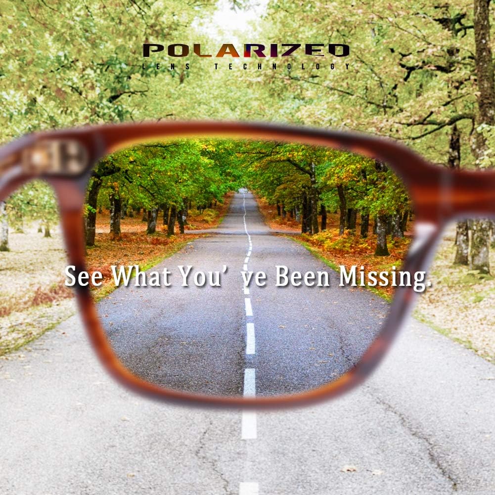 CharJenPro Polarized Men's Sunglasses UV400 Protection for Driving Fishing Cool Man Acetate Shades CA5354