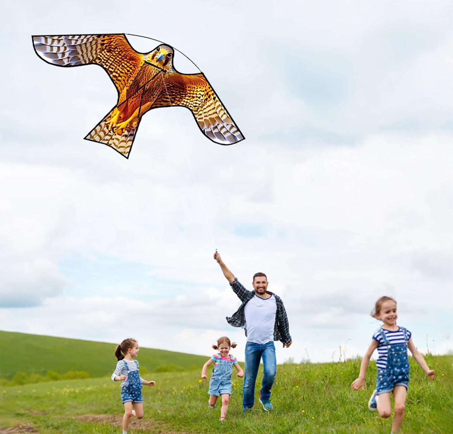 PSIL Bird Hawk Kite for Garden & Farm & Field to Bird Control and Protect Crop, Exquisite Fabrics and Unique Structure Design. Add 30m kite string handle, Multiple uses. (Without pole)