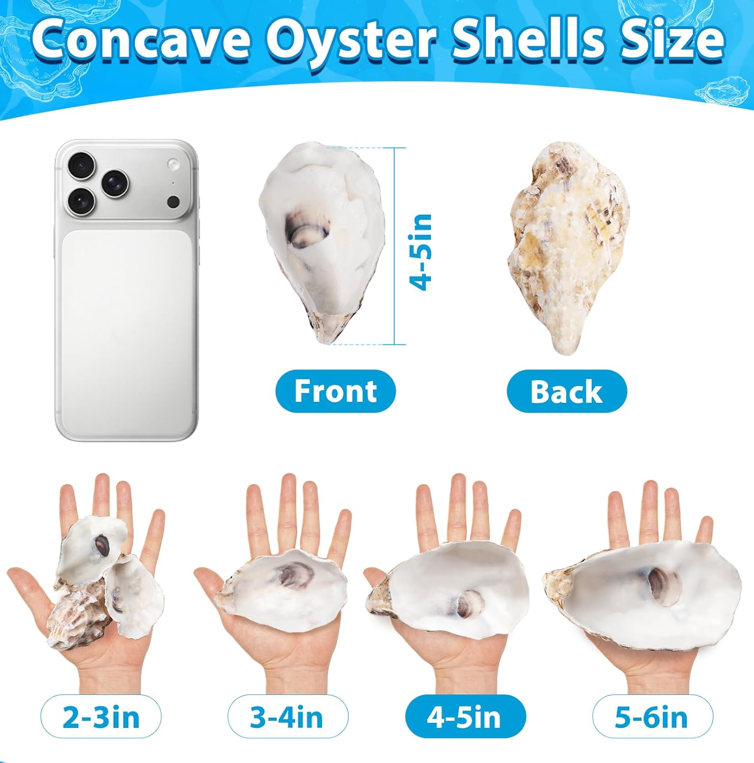 Ultimate Ears 30Pcs 4-5 Inch Concave Large Oyster Shells for Crafts, Cleaned Natural Big Oyster Shells for Decoupage Baking Vase Filler Jewelry Dish Wedding DIY Decor Coastal Christmas Seashells Art