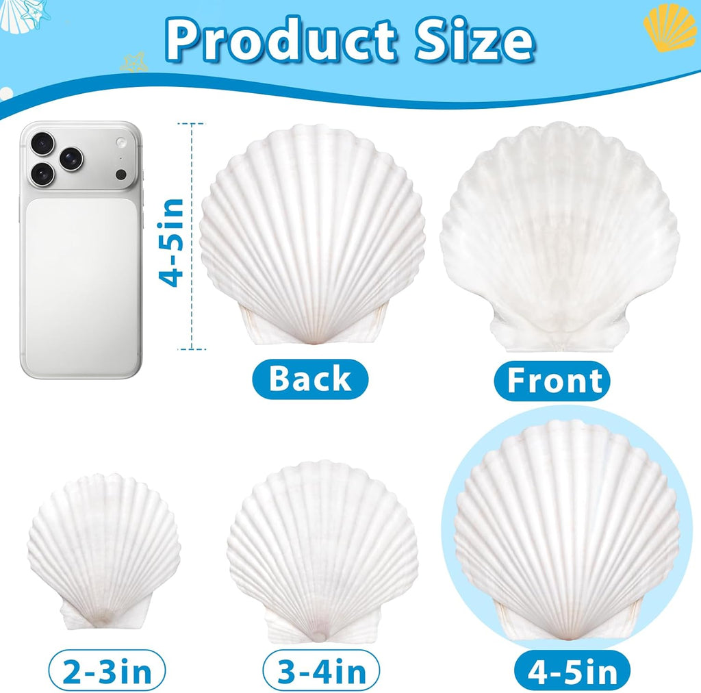 Ultimate Ears 20Pcs 4-5 Inch Large Scallop Shells for Crafts, Natural White Scallop Shells for Baking, Painting, DIY Crafts, Decoupage, Beach Wedding Decor, Large Seashells Bulk for Home