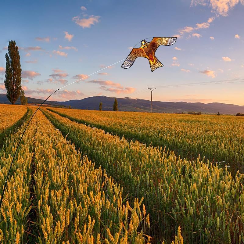 PSIL Bird Hawk Kite for Garden & Farm & Field to Bird Control and Protect Crop, Exquisite Fabrics and Unique Structure Design. Add 30m kite string handle, Multiple uses. (Without pole)