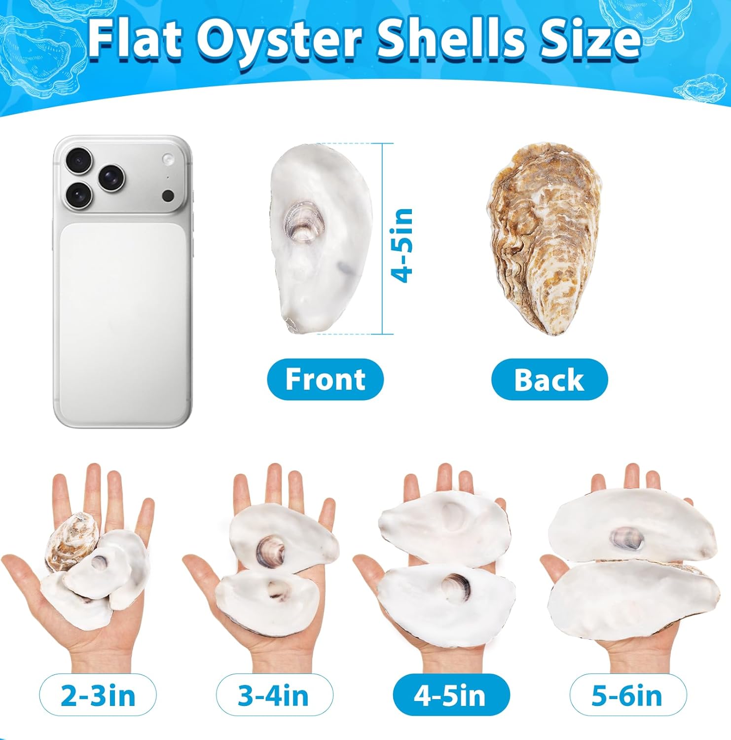 Ultimate Ears 30Pcs Large Flat Oyster Shells for Crafts, 4-5 Inch Cleaned Natural Oyster Shells for Decoupage Painting Vase Filler Wedding DIY Decor Coastal Christmas Large Seashells Art